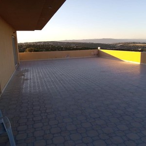 مزرعة الزهراء