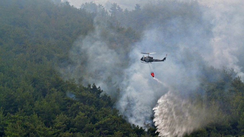 Fires devour large areas of the largest wild pine forest in northern Lebanon