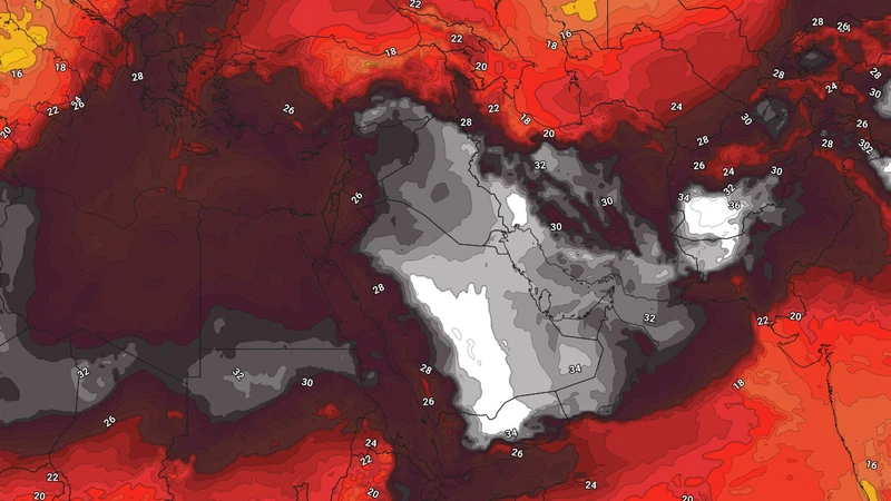 العراق: موجة حارة تؤثر على البلاد ودرجات حرارة قد تلامس الـ50 مئوية في بغداد.. متى ستنكسر؟ | عرب تايم العراق: موجة حارة تؤثر على البلاد ودرجات حرارة قد تلامس الـ50 مئوية في بغداد.. متى ستنكسر؟ | عرب تايم