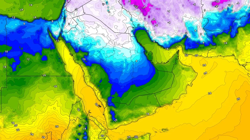 رياح قطبية قارسة البرودة تؤثر على الكويت وتبلغ ذروتها ليلة الثلاثاء/الأربعاء تهوي بدرجات الحرارة إلى نحو الصفر المئوي | عرب تايم رياح قطبية قارسة البرودة تؤثر على الكويت وتبلغ ذروتها ليلة الثلاثاء/الأربعاء تهوي بدرجات الحرارة إلى نحو الصفر المئوي | عرب تايم