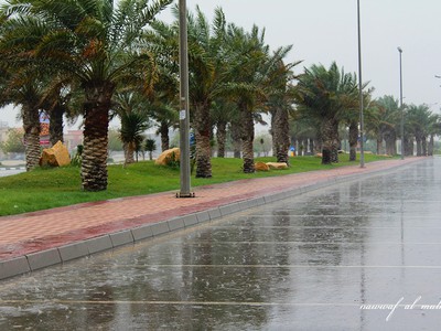 طقس الاحساء طقس العرب