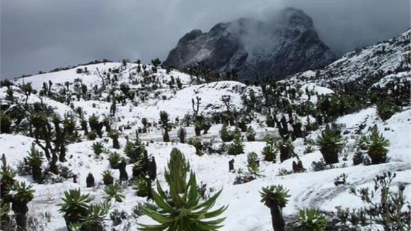ثلوج في أفريقيا وموجة حر في أوروبا.. ما الذي يحدث بالطقس؟ | عرب تايم ثلوج في أفريقيا وموجة حر في أوروبا.. ما الذي يحدث بالطقس؟ | عرب تايم
