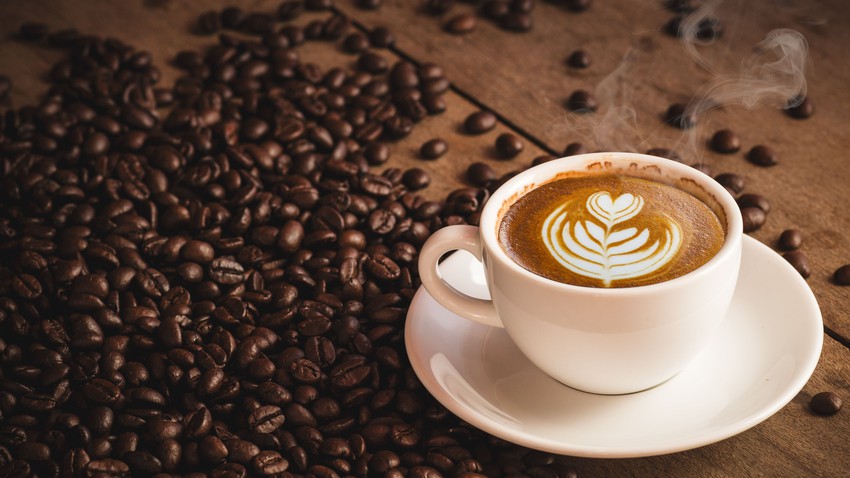 10 étapes que traverse le café, de la graine à la tasse
