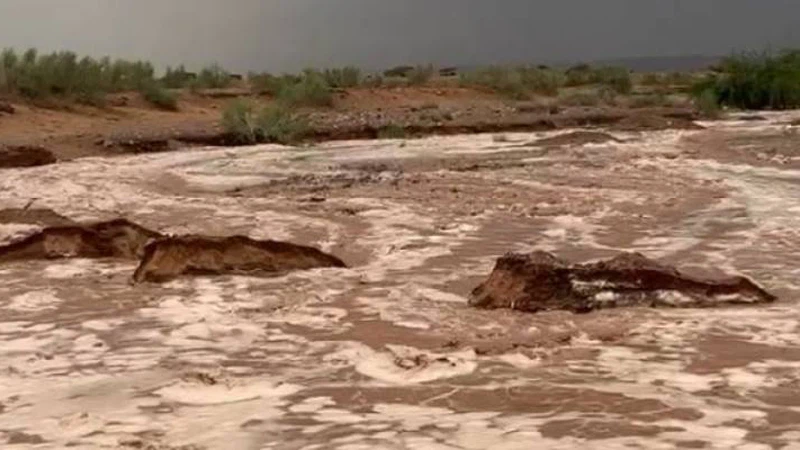 الأمن العام : فرق بحث وإنقاذ في إقليم الجنوب تتعامل مع حادثتين فقدان أشخاص في الحسا والشوبك | عرب تايم الأمن العام : فرق بحث وإنقاذ في إقليم الجنوب تتعامل مع حادثتين فقدان أشخاص في الحسا والشوبك | عرب تايم