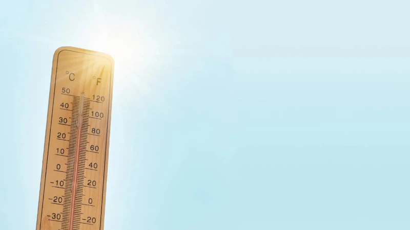 Dans le monde | Il a dépassé les 50 degrés Celsius dans certaines villes... quatre pays arabes figurent sur la liste des températures les plus élevées sur Terre au cours des dernières 24 heures (détails) Dans le monde | Il a dépassé les 50 degrés Celsius dans certaines villes... quatre pays arabes figurent sur la liste des températures les plus élevées sur Terre au cours des dernières 24 heures (détails)