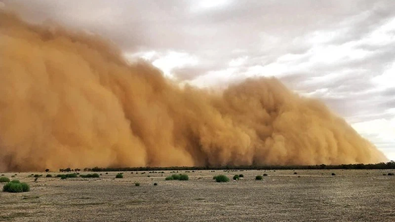 إغلاق مؤقت لطريق وادي عربة من الريشة إلى غرندل بسبب انعدام الرؤية الأفقية | عرب تايم إغلاق مؤقت لطريق وادي عربة من الريشة إلى غرندل بسبب انعدام الرؤية الأفقية | عرب تايم