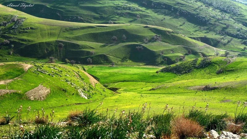 الأردن: تعرف على حالة الطقس ودرجات الحرارة في أهم الأماكن السياحية يوم الاثنين | عرب تايم الأردن: تعرف على حالة الطقس ودرجات الحرارة في أهم الأماكن السياحية يوم الاثنين | عرب تايم