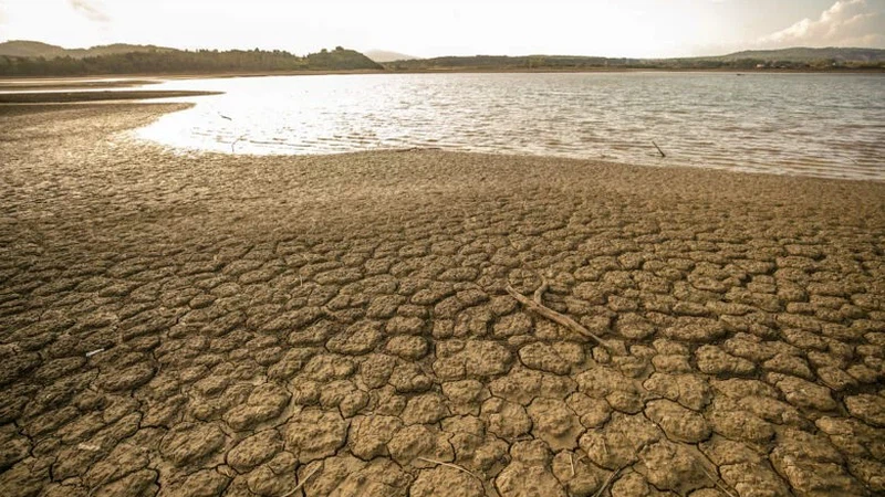 اليمن يعيش حالة شديدة من الجفاف مما استوجب إقامة صلاة استسقاء | عرب تايم اليمن يعيش حالة شديدة من الجفاف مما استوجب إقامة صلاة استسقاء | عرب تايم