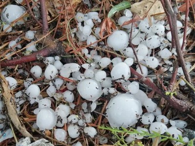 What is the truth about the snowfall in Alexandria, Egypt, yesterday, Friday?