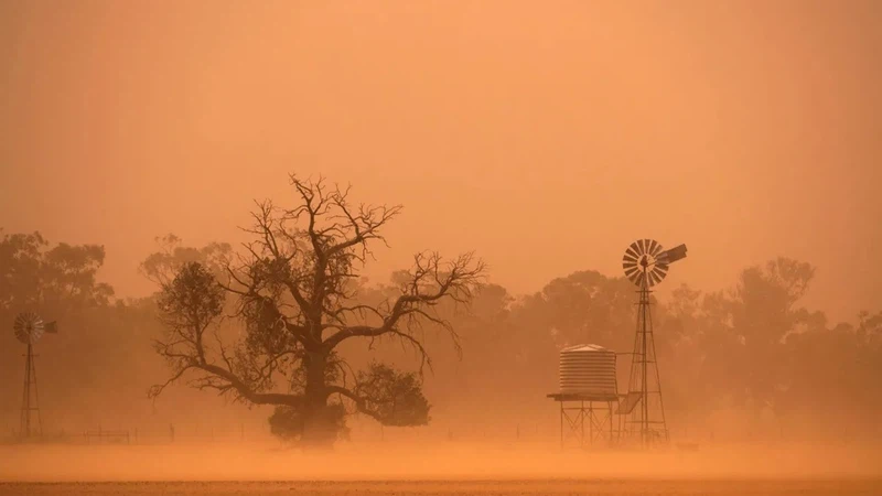 السعودية: تعمق منخفض السودان ونشاط موسم الغبرة على السواحل الجنوبية للمملكة | عرب تايم السعودية: تعمق منخفض السودان ونشاط موسم الغبرة على السواحل الجنوبية للمملكة | عرب تايم