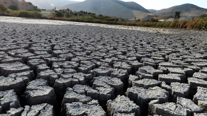 شاهد بالفيديو: وزارة المياه تبدأ إنقاذ بركة العرائس في لواء بني كنانة بعد تعرضها للجفاف | عرب تايم شاهد بالفيديو: وزارة المياه تبدأ إنقاذ بركة العرائس في لواء بني كنانة بعد تعرضها للجفاف | عرب تايم