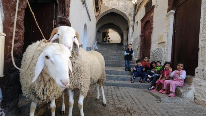 متى موعد عيد الأضحى 2021؟ متى موعد عيد الأضحى 2021؟