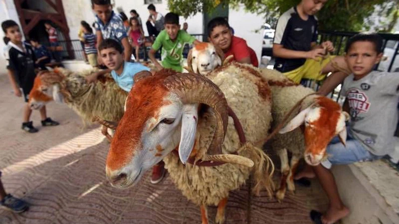 كيف يحتفل المسلمون بعيد الأضحى المبارك؟