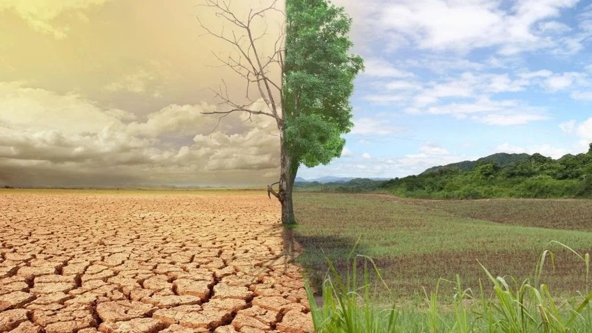 اليوم العالمي لمكافحة التصحر والجفاف تحت شعار "العمل معاً للتغلب على أزمة الجفاف"