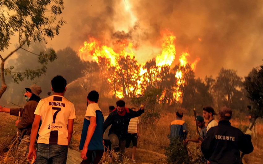 Les incendies de forêt en Algérie font toujours rage et le nombre de morts s&#39;élève à 38