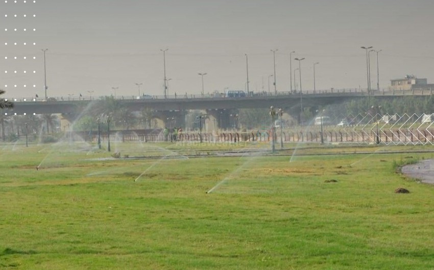 With 10,000 trees, a major campaign to transform Baghdad into a green oasis and eliminate desertification