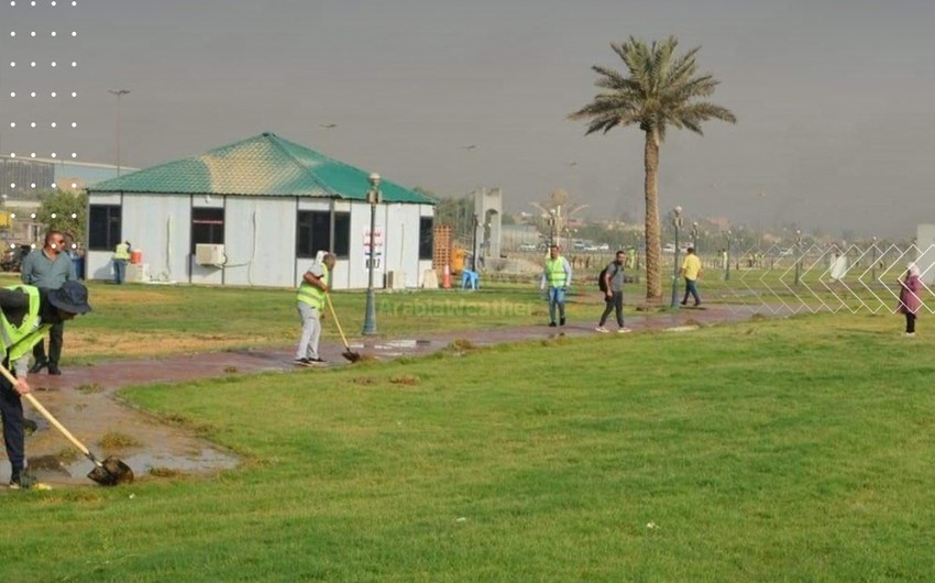 With 10,000 trees, a major campaign to transform Baghdad into a green oasis and eliminate desertification