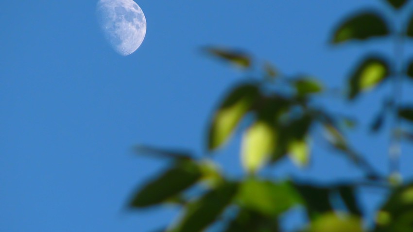 لماذا يظهر القمر أحيانا في النهار؟