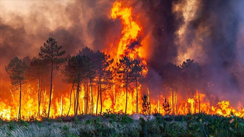 France | Des incendies qui font rage dévorent plus de 1 000 hectares, au milieu de températures record.. Vidéo