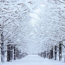 ما الفرق بين بداية فصل الشتاء فلكيا وبداية فصل الشتاء في علم الأرصاد الجوية؟