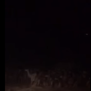 بالفيديو.. سيول وادي المضيق بمكة المكرمة تجرف قطيعا من الإبل