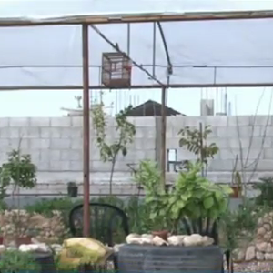 هكذا واجه الغزيون ظاهرة الاحتباس الحراري