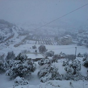 بالفيديو : شاهد كثافة تساقط الثلوج في الخليل خلال العاصفة الماضية !