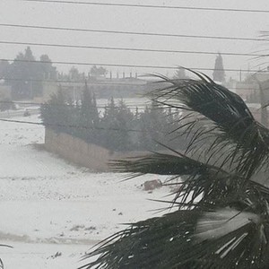 بالصور: الثلوج الكثيفة تغطي الكرك والطفيلة
