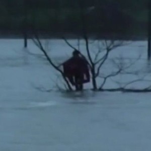 شجرة صغيرة تنقذ حياة رجل من خطر السيول