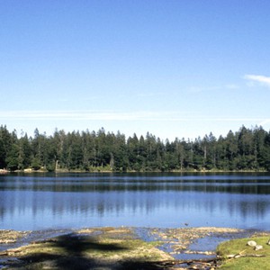 شاهد الغابة السوداء.. الأروع في ألمانيا