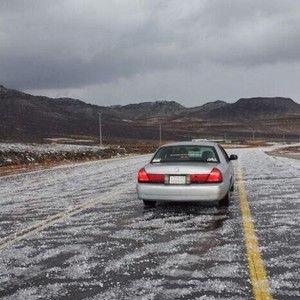 بالصور: البرديات تُلبس أراضي تبوك ثوبها الأبيض! 