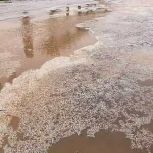 بالصور: البرد يكسو عددا من مناطق المملكة 