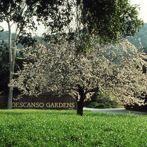 بالصور : تعرّف على الطبيعة الخلابة في حدائق ديسكانسو 