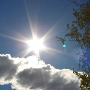 بالصور : أكبر ثمرة يقطين في بريطانيا بحاجة لرافعة لحملها ! 