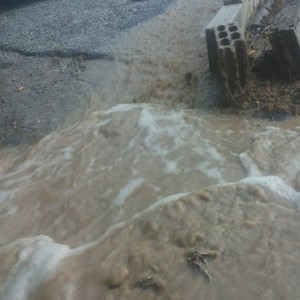 بالصور: امطار آب تشمل جنوب لبنان حتى شماله