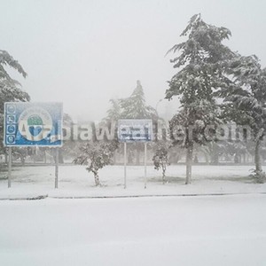 بالفيديو: تساقط وتراكم الثلوج في الرشادية هذا الصباح