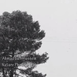 فيديو جديد من ثلوج 12-12-2013 في عمان 