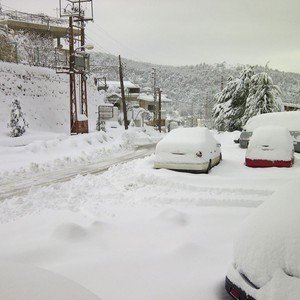 بالفيديو : مجموعة صور أرشيفية رائعة لثلوج مُحافظة السويداء 
