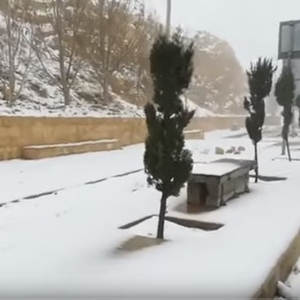 بث مباشر لتساقط الثلوج من جبال الشراه جنوب المملكة