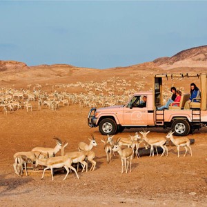 جزيرة صير بن ياس.. أفضل وجهة سياحية مستدامة في العالم 