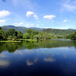 حدائق بحيرة تايبينج في ماليزيا