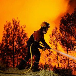 بالفيديو : حرائق ضخمة تقضي على أجزاء واسعة من غابات ولاية واشنطن الأمريكية