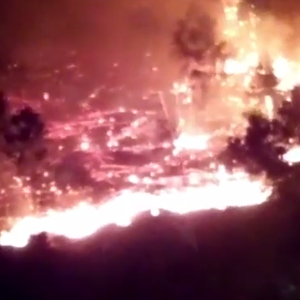 حريق غابة ضخم في الأردن يلتهم 200 دونم