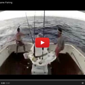 بالفيديو : قفَزَت السمكة الى المركب ، فهَرَبَ الصياد إلى البحر !
