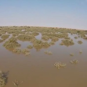 روضة خريم تمتلئ بمياه الأمطار في مشهد رائع