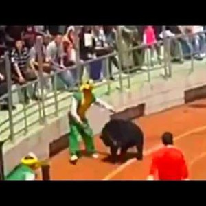 بالفيديو .. دب يفترس قرداً في عرض سيرك مأساوي ..