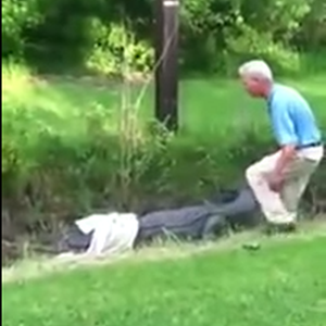 رجل مسن يواجه تمساح ضخم من أجل كرة غولف