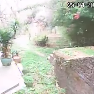 مشهد لاهتزاز الأرض والأشجار لحظة زلزال نيبال