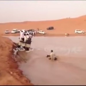 شباب يغامرون بحياتهم باقتحام مجرى السيل... شاهد