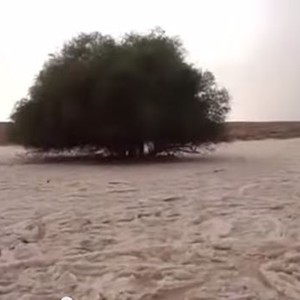 سيل جارف من البرد يجتاح أحد أودية السعودية